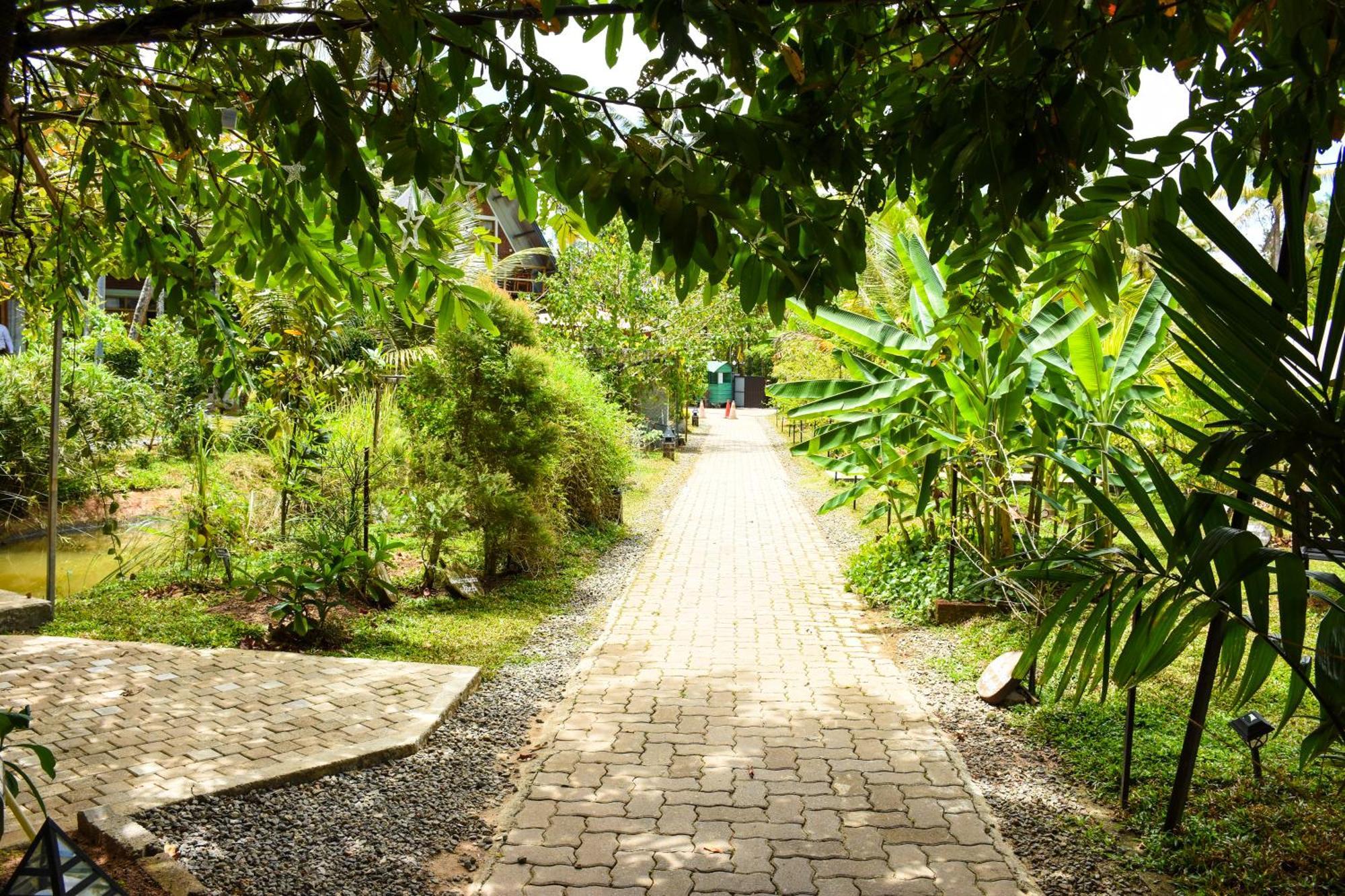 Steps Garden Resort Negombo Esterno foto